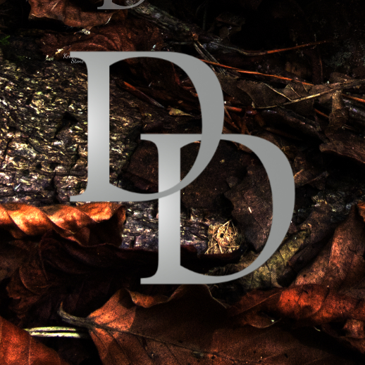 Stones Photography DD